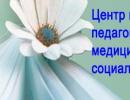 Центр психолого-педагогической, медицинской и социальной помощи